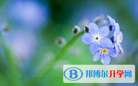 遂宁2022年中考报名网站是什么
