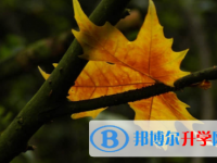 内江2022年中考填报志愿后还可以改吗