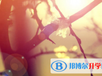 乐山2022年中考网上报名