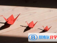 乐山2022年中考报名志愿