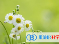 南充2022年中考在哪里查询