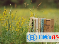 南充2022年中考报考志愿表