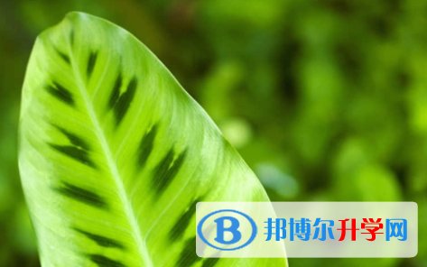 南充2022年中考报名志愿