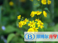眉山2022年江南app下载官网
