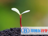 眉山2022年江南app下载官网
表