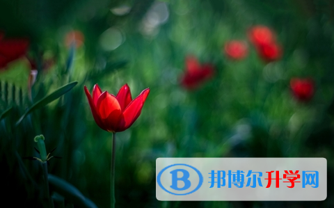 宜宾2022年中考成绩出来了吗
