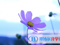 宜宾2022年中考成绩怎样查询