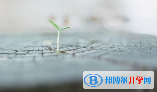 达州2022年中考成绩查询系
