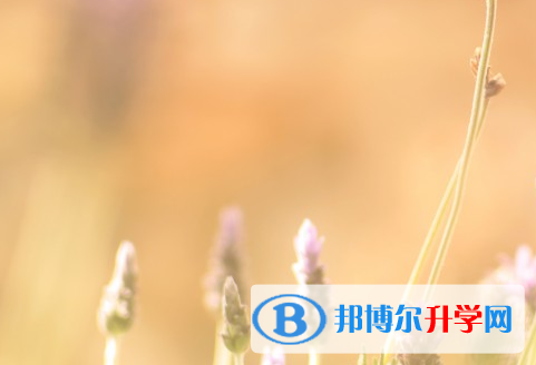 达州2022年中考成绩公布时间