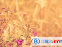 达州2022年中考成绩在哪里查询
