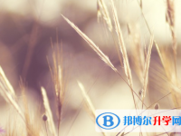 达州2022年中考成绩怎么查询