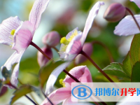 达州2022年中考多久出成绩