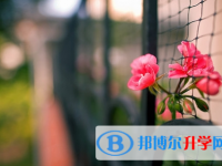 达州2022年中考成绩出来了吗