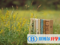 达州2022年中考成绩何时出来