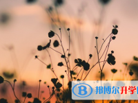 达州2022年中考体考成绩查询