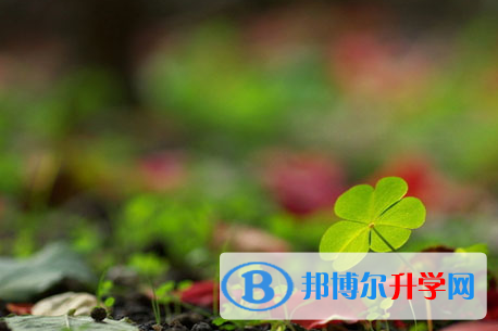 达州2022年中考网中考查询