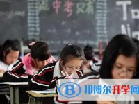 雅安2022年中考怎样填志愿