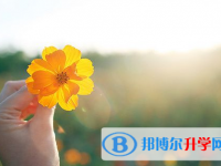达州2022年中考调剂志愿