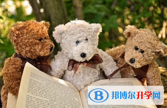 巴中2022年教育网中考查询