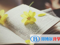 巴中2022年怎样填中考志愿