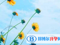 巴中2022年中考报名志愿