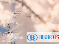 巴中2022年中考模拟填报志愿