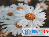 巴中2022年中考怎么填志愿才可以上到好的学校