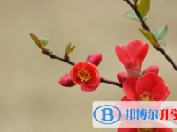 巴中2022年中考志愿如何填报