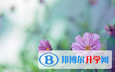 巴中2022年江南app下载官网
网址