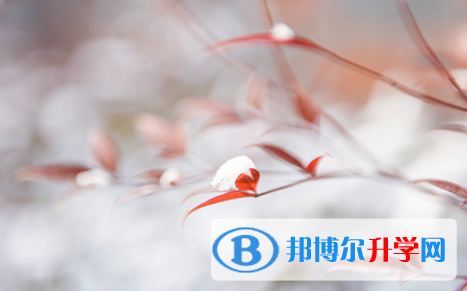 阿坝2022年中考是不是录取线最高的