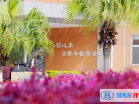 成都七中实验学校(初中部)2023年招生录取分数线