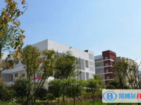 修文中学网站网址主页