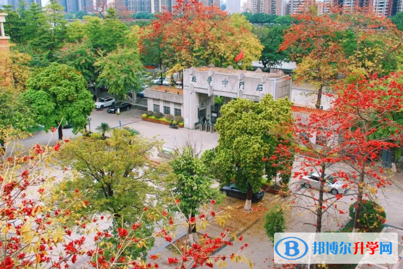 佛山石门中学国际部2023年课程体系