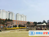 2025新乡中考语文满分是多少？