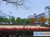 安徽池州第一中学2023年招生录取分数线