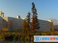2025大庆市中考语文满分是多少？
