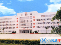 2024汕尾市林伟华中学招生计划 招生人数是多少(附要求、条件、对象)