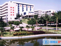 2024东莞市实验中学招生计划 招生人数是多少(附要求、条件、对象)