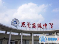 2024东莞高级中学招生计划 招生人数是多少(附要求、条件、对象)
