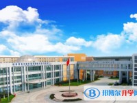 2025绥化市第七中学招生计划 招生人数是多少(附要求、条件、对象)