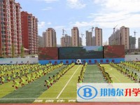 2025新乐新伏羲中学招生计划 招生人数是多少(附要求、条件、对象)