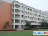 2025石桥中学招生计划 招生人数是多少(附要求、条件、对象)