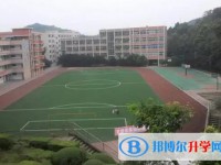 简阳实验中学招生简章2025年