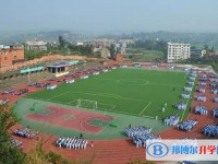 2025荣县中学招生计划 招生人数是多少(附要求、条件、对象)