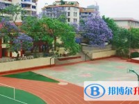自贡六中招生简章2025年