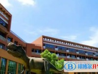 自贡市大安区嘉祥外国语学校怎么样、好不好