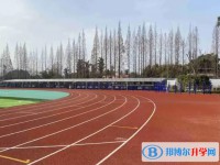 2025自贡德铭中学招生计划 招生人数是多少(附要求、条件、对象)