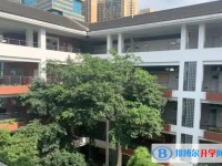2025绵阳第九中学招生计划 招生人数是多少(附要求、条件、对象)