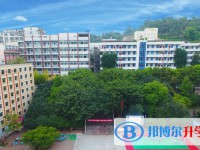 苍溪实验中学招生简章2025年