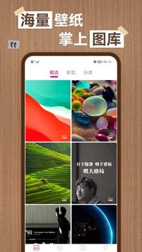 飞鲸体育截图